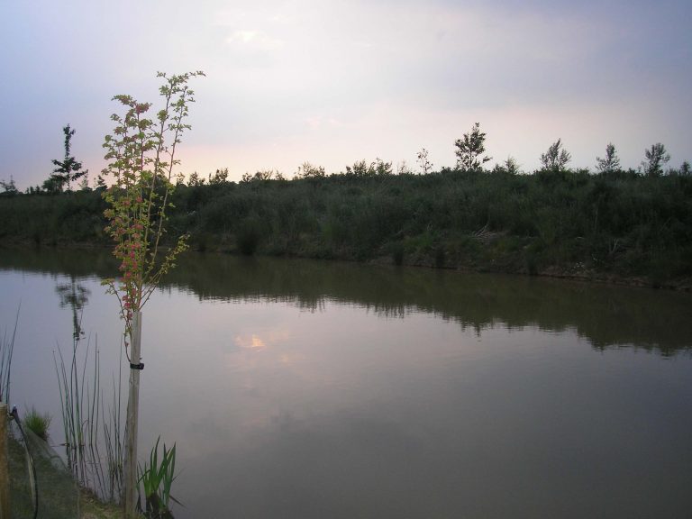 Plainville Lake